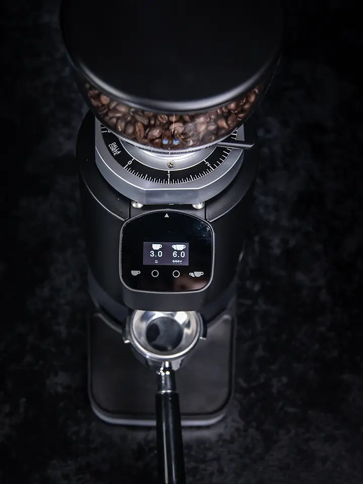 Dalla Corte Edge Espressomühle für Siebträger inklusive Garantie